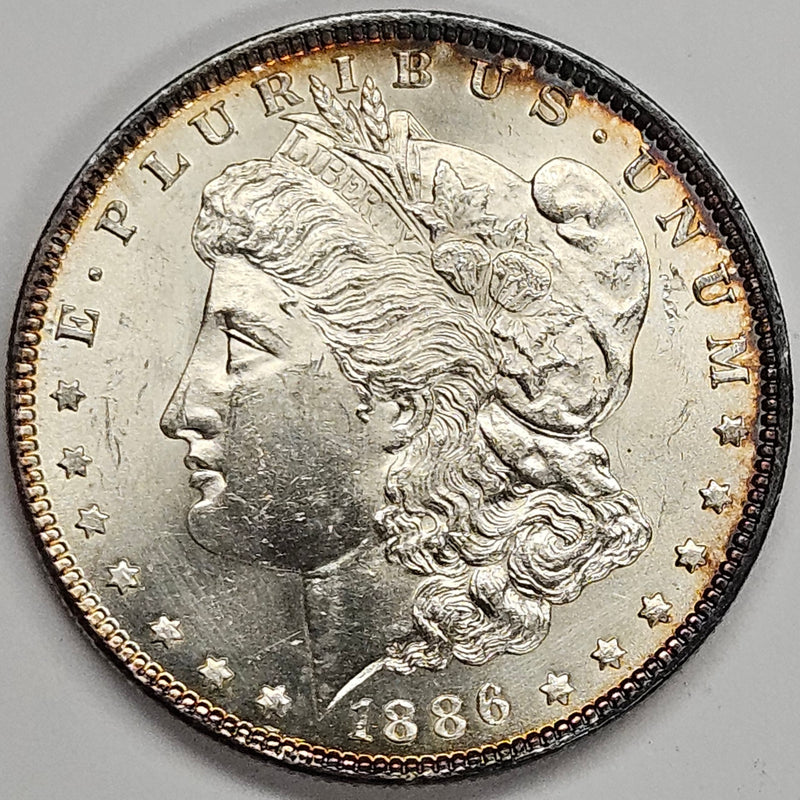 1886 Morgan Dollar . . . . BU cleaned