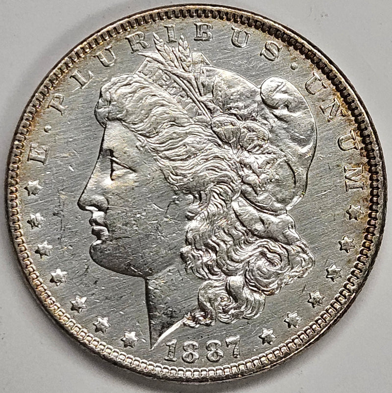 1887 Morgan Dollar . . . . Uncirculated polished