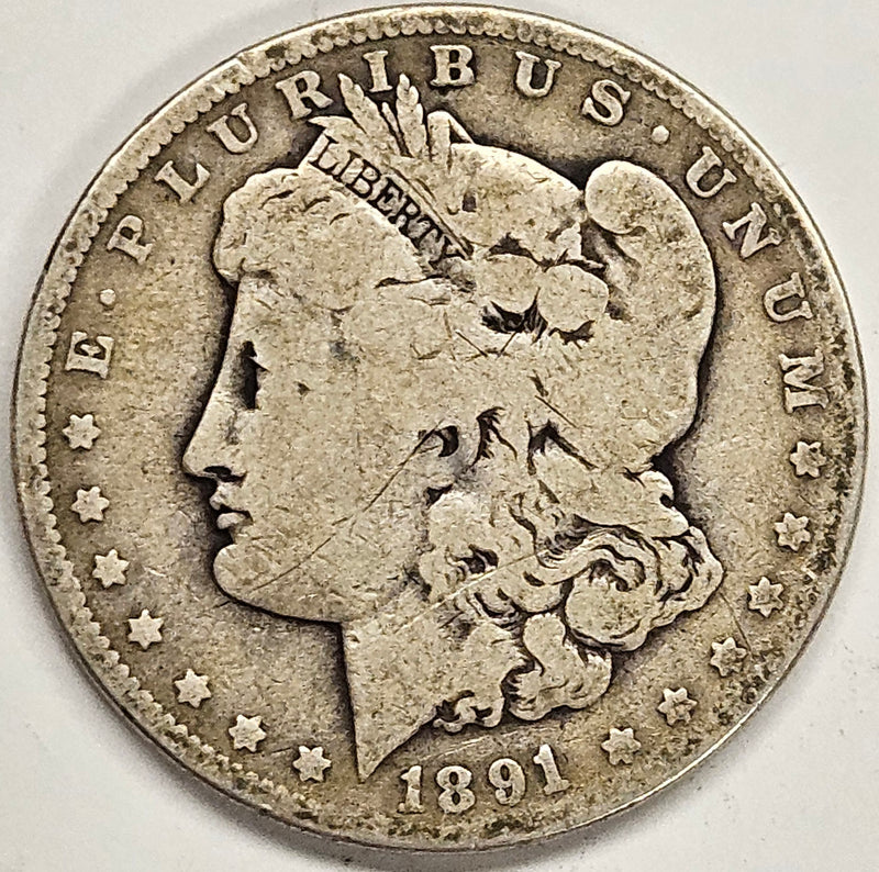 1891 Morgan Dollar . . . . Fine