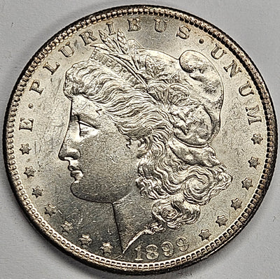 1899-S Morgan Dollar Choice Brilliant Uncirculated