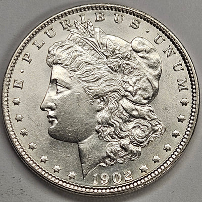 1902 Morgan Dollar Choice Brilliant Uncirculated