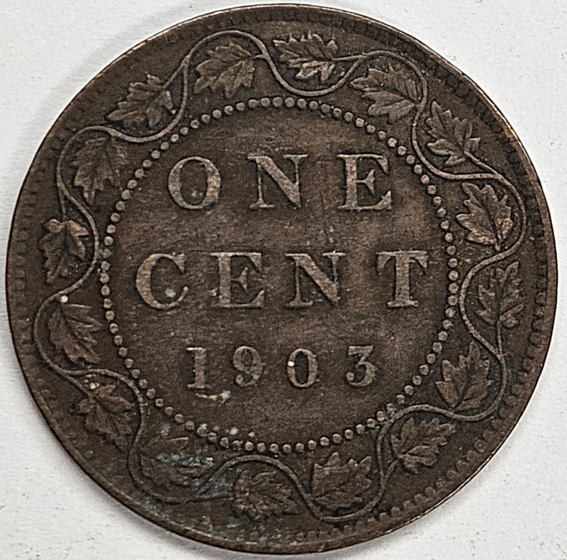 1903 Canadian Cent . . . . Very Fine