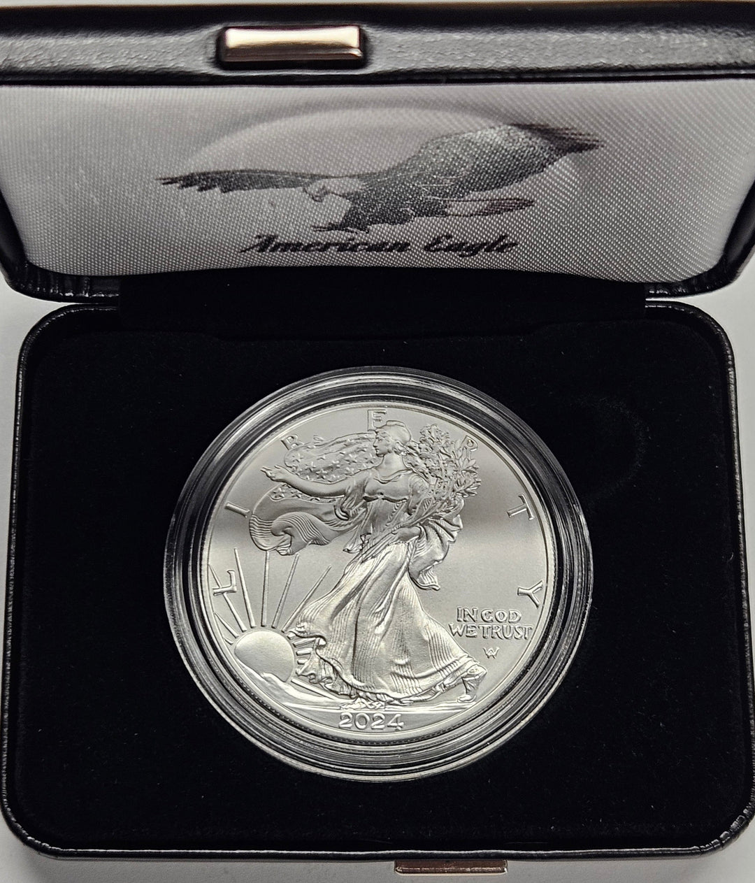 2024-W Burnished American Silver Eagle Superb Brilliant