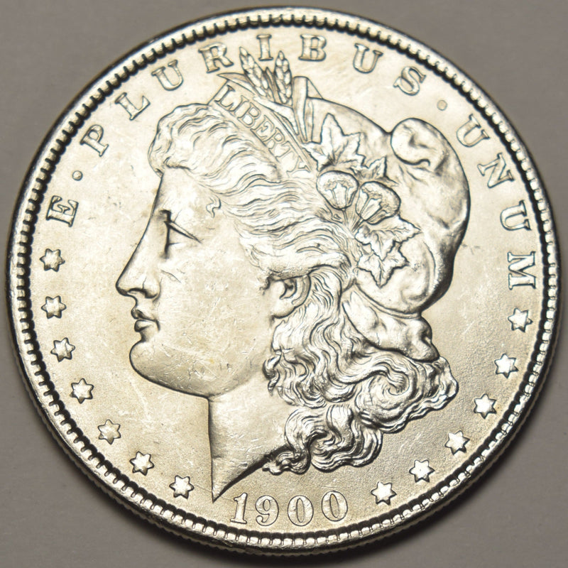 1900 Morgan Dollar . . . . Choice Brilliant Uncirculated