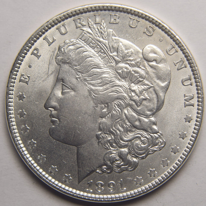 1891 Morgan Dollar . . . . Choice Brilliant Uncirculated