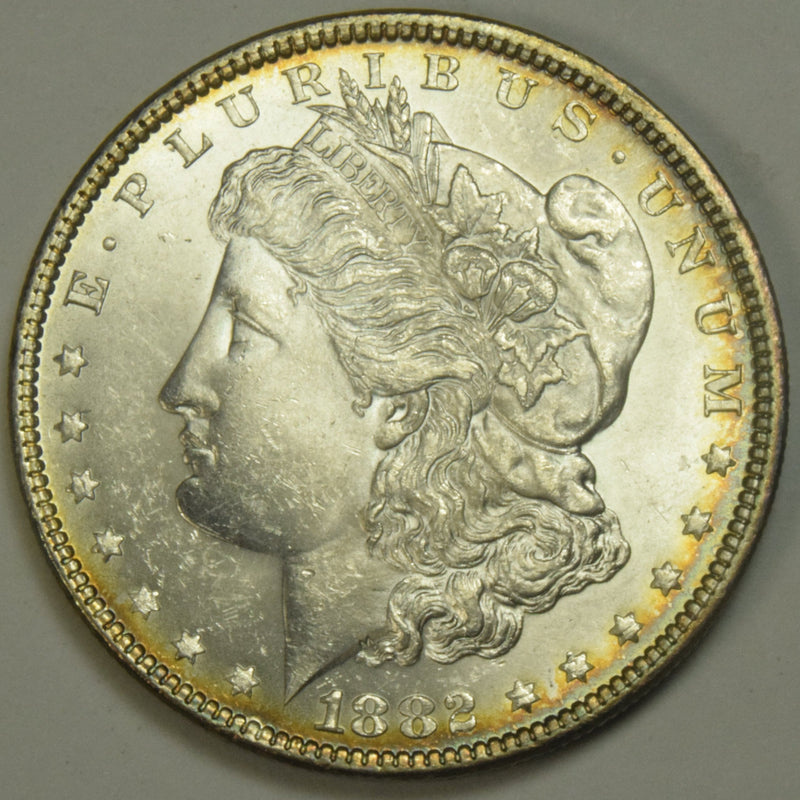 1882 Morgan Dollar . . . . Choice Brilliant Uncirculated