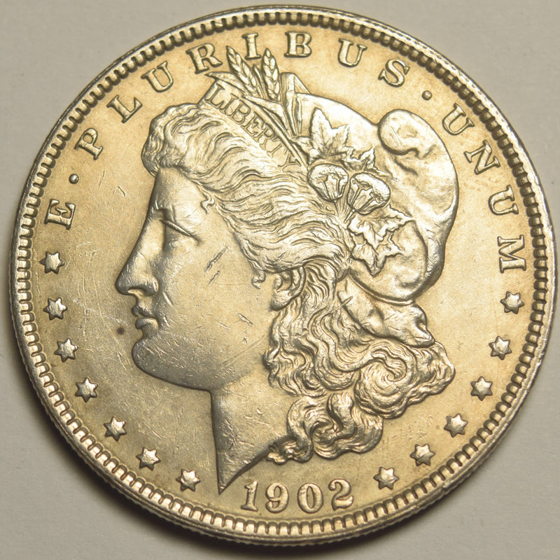 1902 Morgan Dollar . . . . Choice About Uncirculated