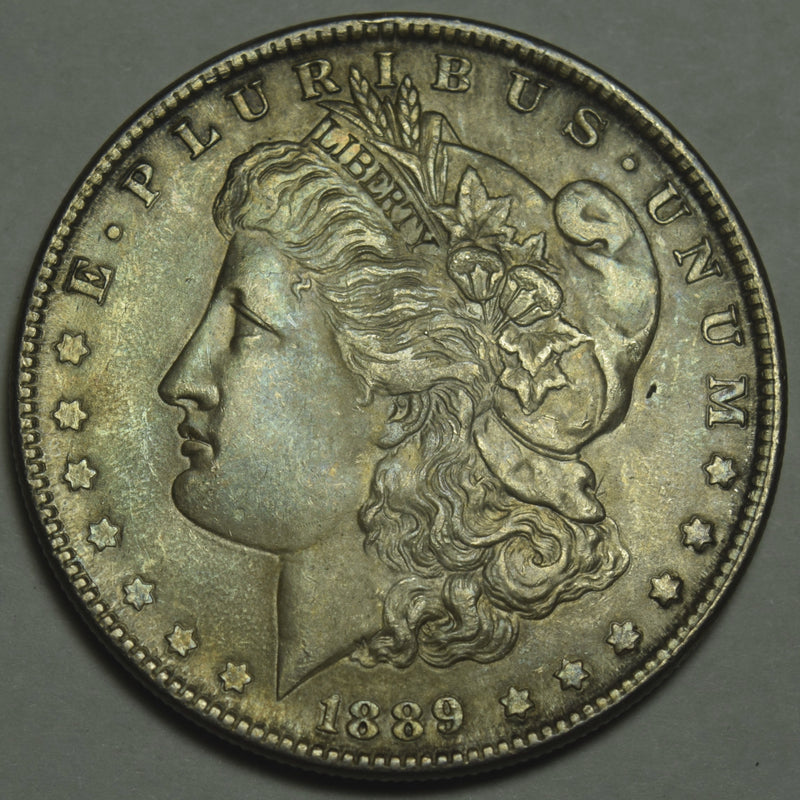 1889 Morgan Dollar . . . . Gem BU Toned