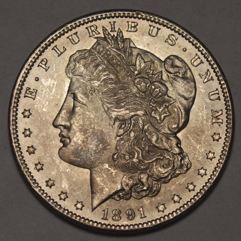 1891 Morgan Dollar . . . . Choice BU+