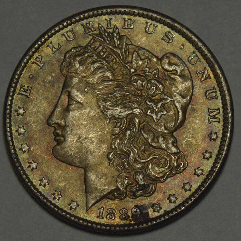 1889 Morgan Dollar . . . . Choice Uncirculated Toned