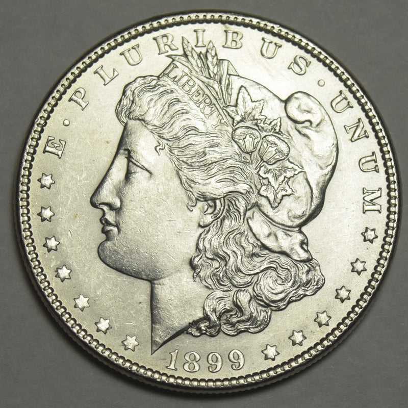 1899 Morgan Dollar . . . . Choice Brilliant Uncirculated