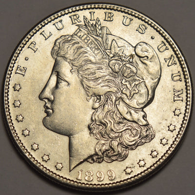 1899-S Morgan Dollar Select Brilliant Uncirculated