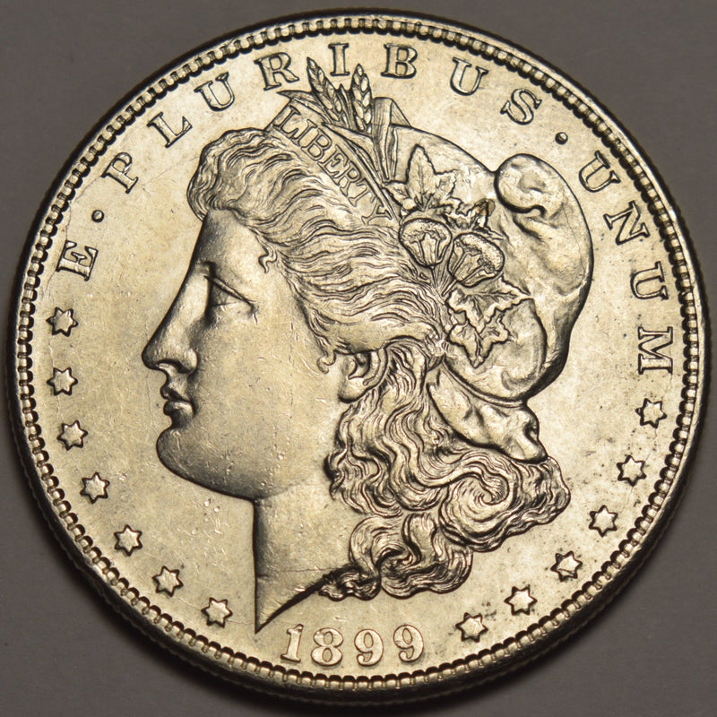 1899-S Morgan Dollar Select Brilliant Uncirculated