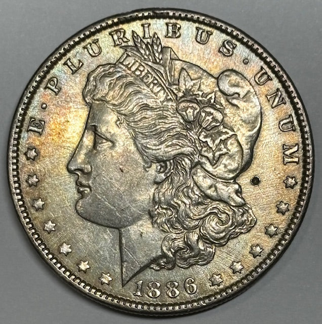 1886 Morgan Dollar . . . . AU dig in field