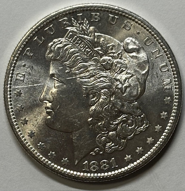 1881-S Morgan Dollar . . . . Choice BU scratched