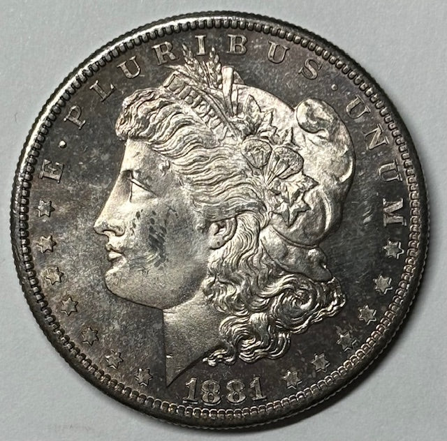 1881-S Morgan Dollar . . . . Choice BU Proof Like