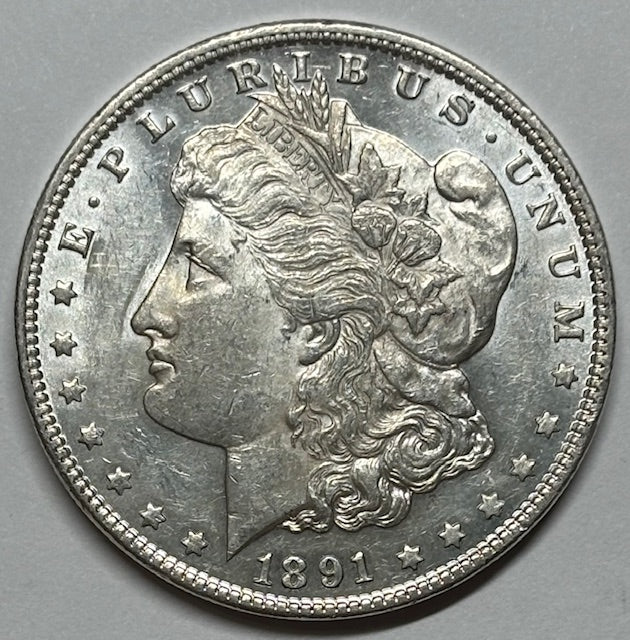 1891 Morgan Dollar . . . . Select Brilliant Uncirculated