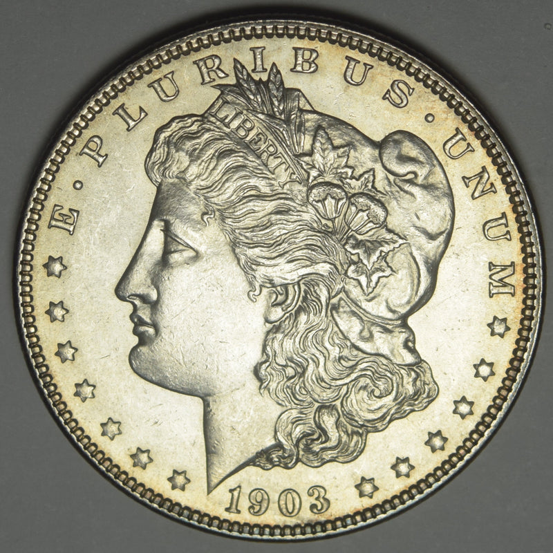 1903 Morgan Dollar . . . . Choice BU+